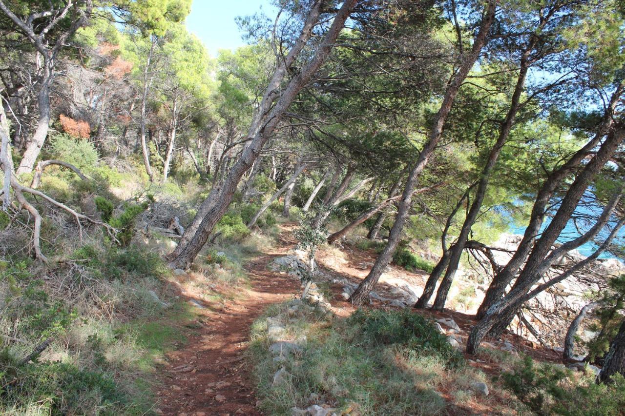 Bayview Apartment Trogir Bagian luar foto